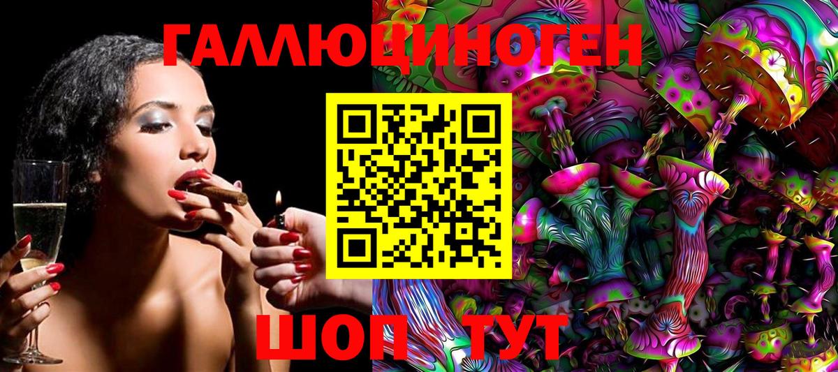 Псилоцибиновые грибы GOLDEN TEACHER Ачхой-Мартан